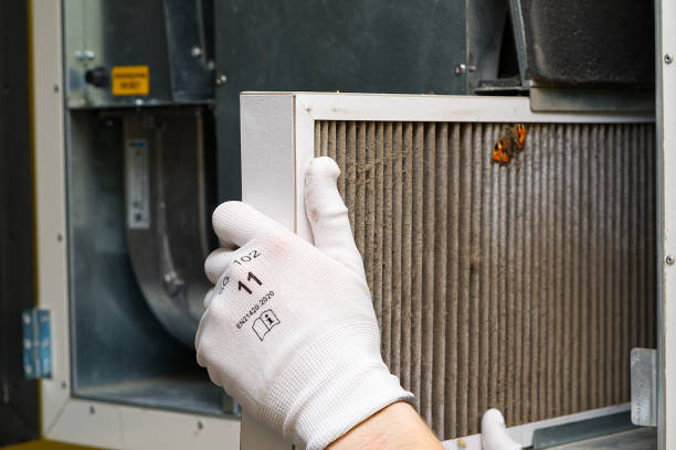 Best Local Air Duct Cleaning Services  in Haines City, FL