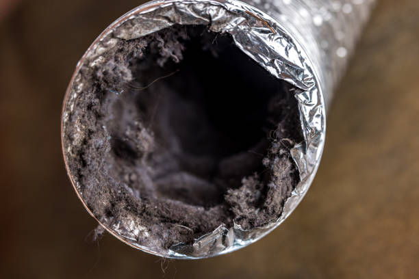 Best Local Air Duct Cleaning Services  in Haines City, FL