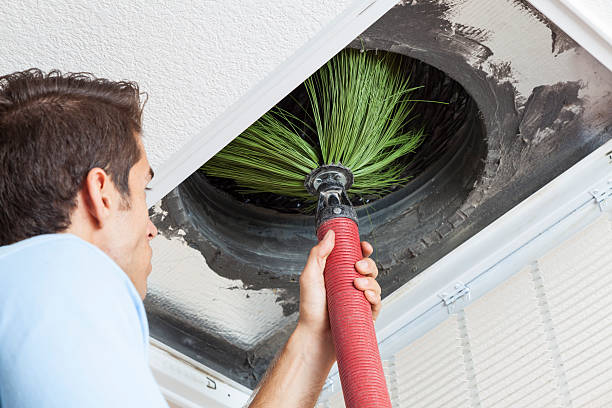 Best Dryer Vent Cleaning Services  in Haines City, FL